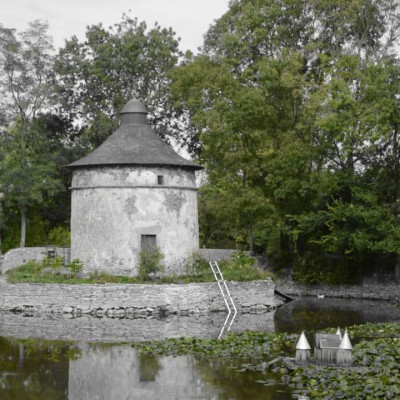 FB_IMG_1731447594647